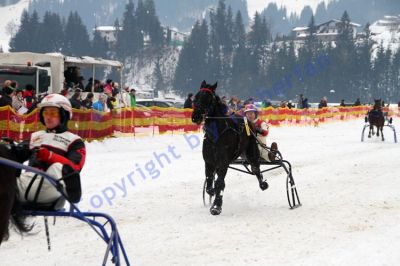 20140202_08_72.JPG