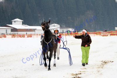 20140202_08_73.JPG