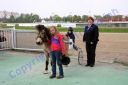 Dateiname=20140413_00_mt_95.JPG
Dateigröße=91KB
Abmessungen: 750x500
hinzugefügt am: 09. September 2016 20140413_00_mt_95.JPG