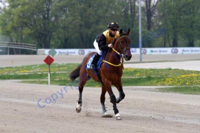 20140413_02a_29.JPG