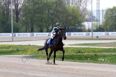 20140413_02a_55.JPG
