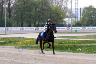 20140413_02a_56.JPG