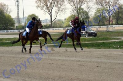 20140413_02a_77.JPG