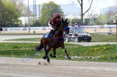 20140413_02a_79.JPG