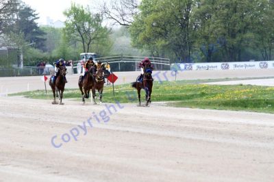 20140413_02b_58.JPG