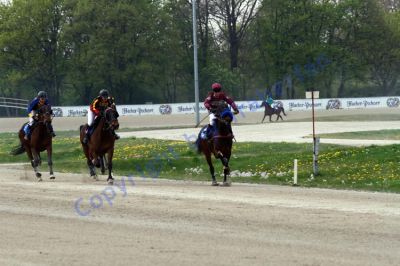 20140413_02b_65.JPG