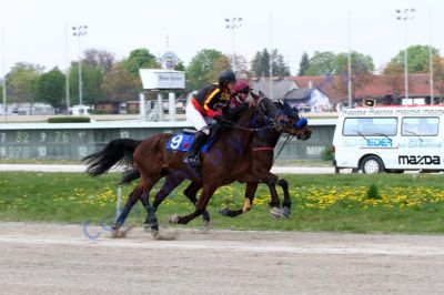 20140413_02b_86.JPG