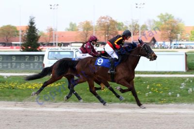 20140413_02b_90.JPG