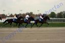 20140413_02b_36.JPG