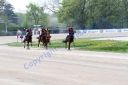20140413_02b_60.JPG
