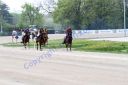20140413_02b_61.JPG