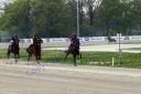 20140413_02b_63.JPG