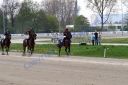 20140413_02b_67.JPG