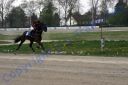 20140413_02b_70.JPG