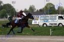 20140413_02b_71.JPG