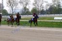 20140413_02b_74.JPG
