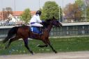 20140413_02b_77.JPG