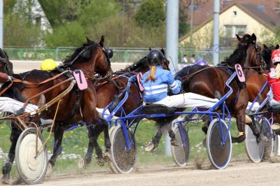 20140413_03_61.JPG