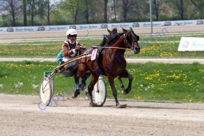 20140413_03_77.JPG