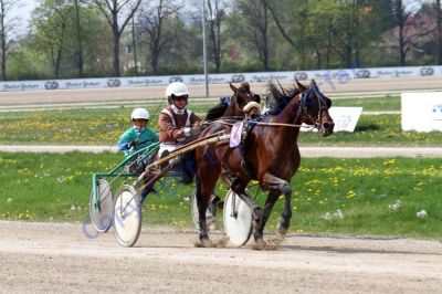 20140413_03_79.JPG