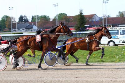 20140413_07_77.JPG