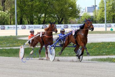 20140420_00_63.JPG