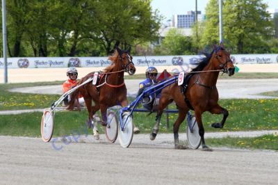 20140420_00_64.JPG