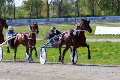 20140420_08_27.JPG