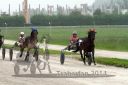 20140517_04b_54.JPG