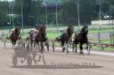 20140529_08_44.JPG
