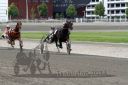 20140601_04b_36.JPG