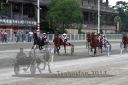 20140601_06_55.JPG