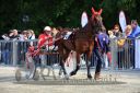 20140601_073_84.jpg