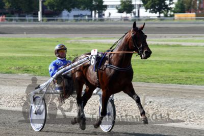 20140601_074_16.JPG
