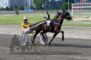 20140601_074_06.JPG