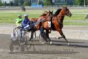20140601_074_26.JPG