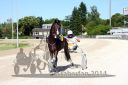 20140706_06_94.JPG