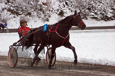 IMG_0135.jpg