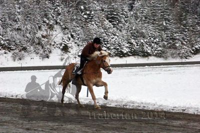 IMG_0250.jpg