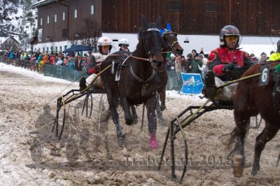 20150104_05_28.jpg
