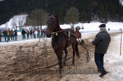 20150104_05_83.jpg