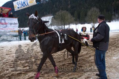 20150104_05_84.jpg