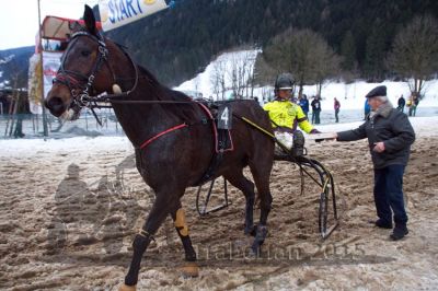 20150104_05_86.jpg