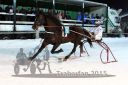 Dateiname=20150206_05_21.jpg
Dateigröße=90KB
Abmessungen: 750x500
hinzugefügt am: 14. Oktober 2016 20150206_05_21.jpg