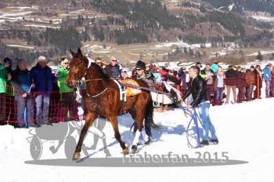 20150215_06_92.jpg