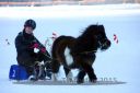 20150215_07_061.jpg