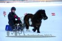 20150215_07_063.jpg