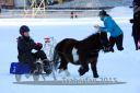 Dateiname=20150215_07_064.jpg
Dateigröße=77KB
Abmessungen: 750x500
hinzugefügt am: 15. November 2016 20150215_07_064.jpg