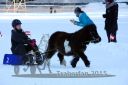 20150215_07_065.jpg