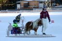 20150215_07_067.jpg
